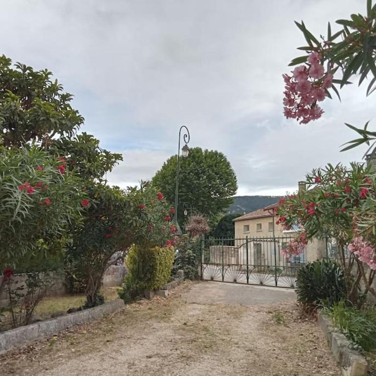 Maison individuelle plein centre avec jardin ,au pied du Mont Ventoux - Maison 3 Chambres - 18