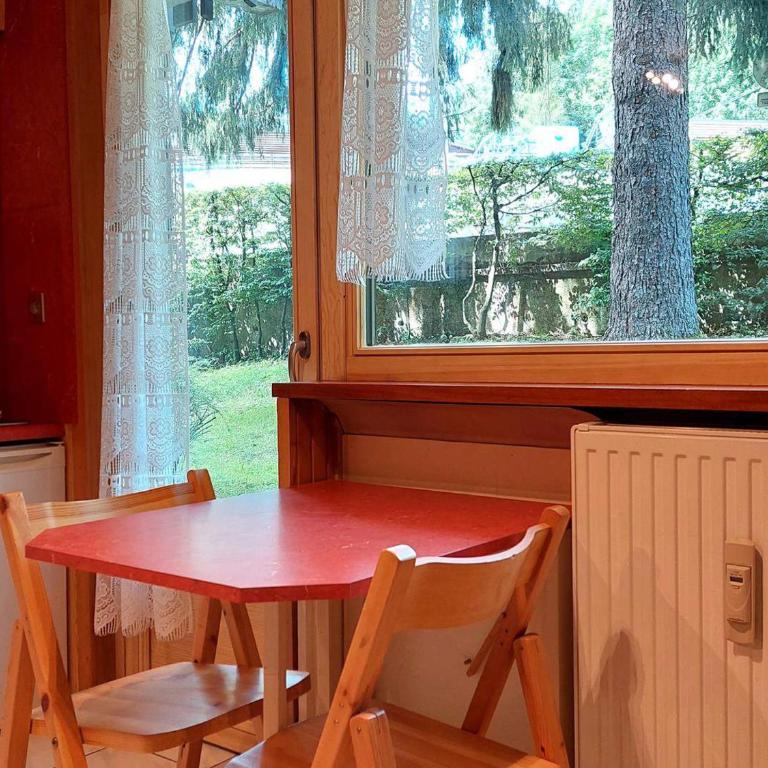 Studio rénové 16m2, terrasse, animaux admis, parking, près télécabine Brévent - FR-1-517-3 - Studio - 3
