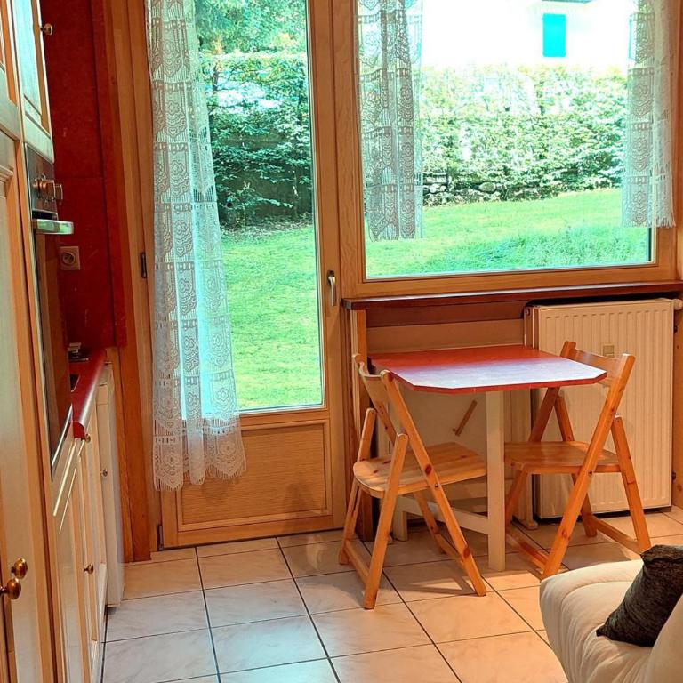 Studio rénové 16m2, terrasse, animaux admis, parking, près télécabine Brévent - FR-1-517-3 - Studio - 1