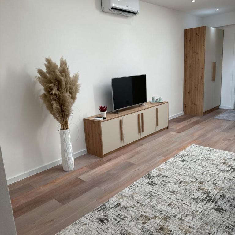 Luxury Pyramid Apartment Visoko - Apartman sa 1 Spavaćom Sobom - 4