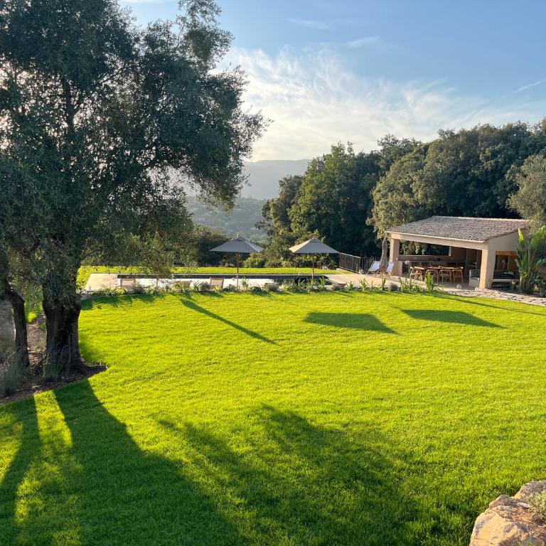 Valbonne House in Provencal style - Villa - 17