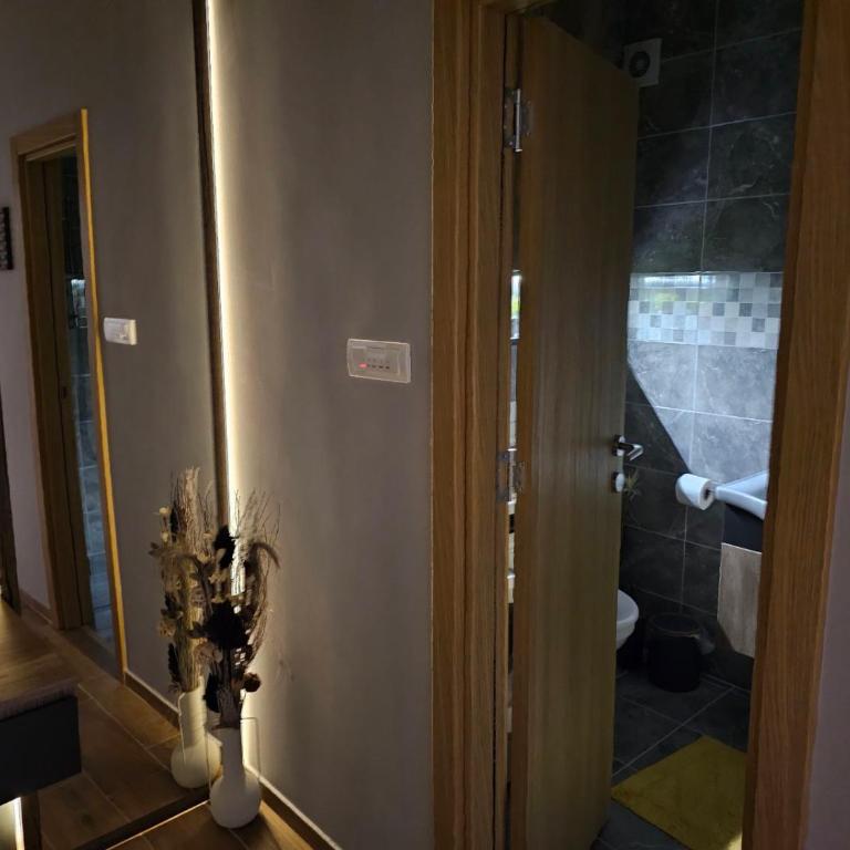 SOUL Apartman - Apartman sa 1 Spavaćom Sobom - 8