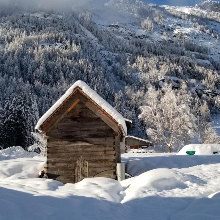 Chalet Walser à VALLORCINE 13 kms CHAMONIX France - Chalet - 43