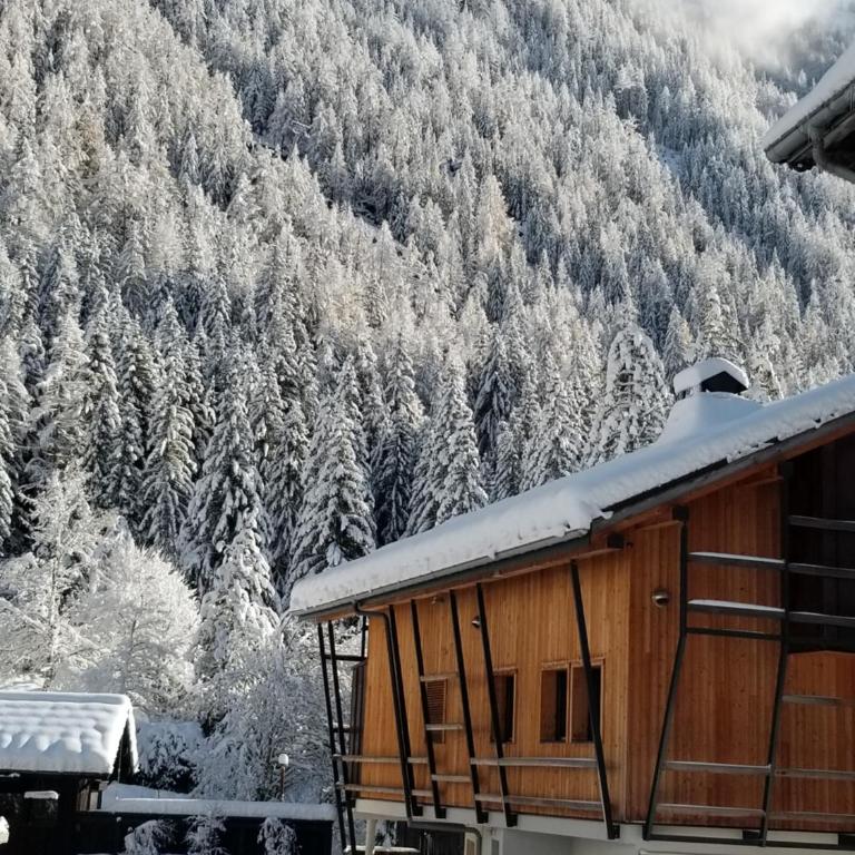 Chalet Walser à VALLORCINE 13 kms CHAMONIX France - Chalet - 44