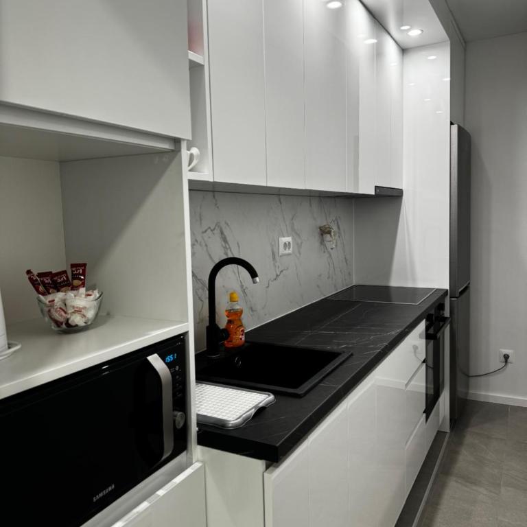 Heart of Sarajevo - Apartman sa 1 Spavaćom Sobom - 8