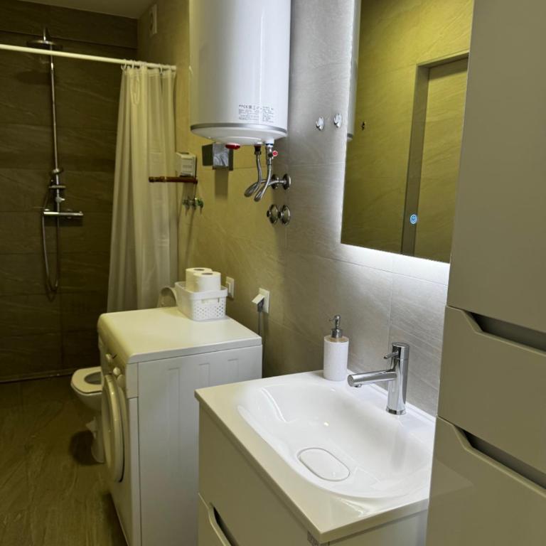 Heart of Sarajevo - Apartman sa 1 Spavaćom Sobom - 9