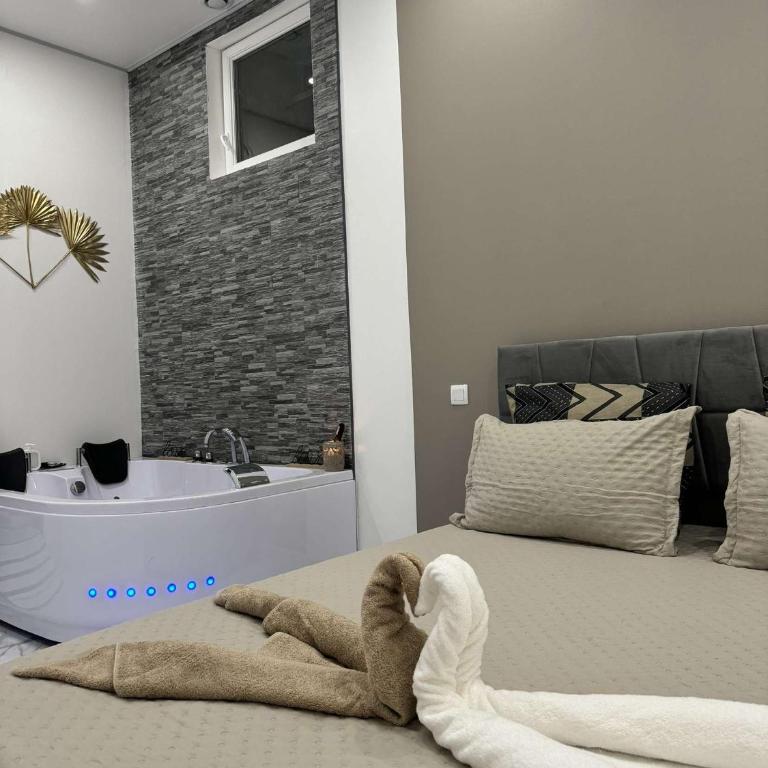 Suite GOLD L Amaryllis I Jacuzzi & Sauna privé I Centre Béziers Arrivée autonome - Appartement 1 Chambre - 22