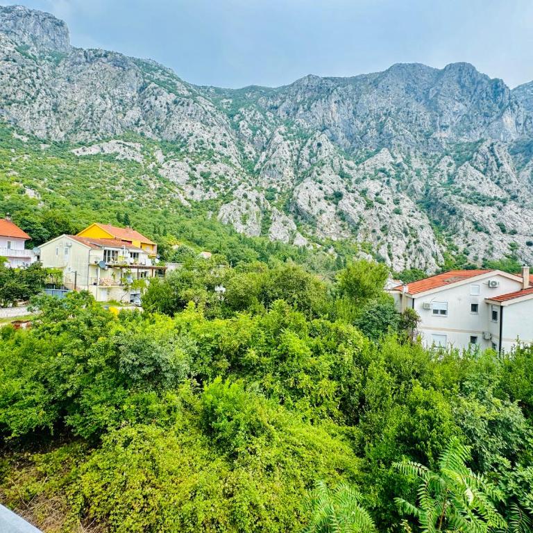 Orahovac sunny port - Apartman sa 2 Spavaće Sobe - 14