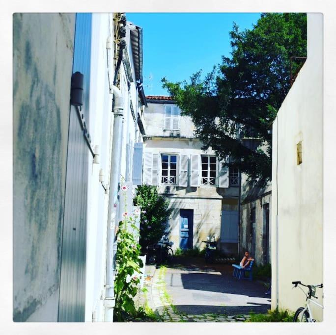 Le cour des anglais, hyper centre, marché - Apartamento de 1 dormitorio - 22