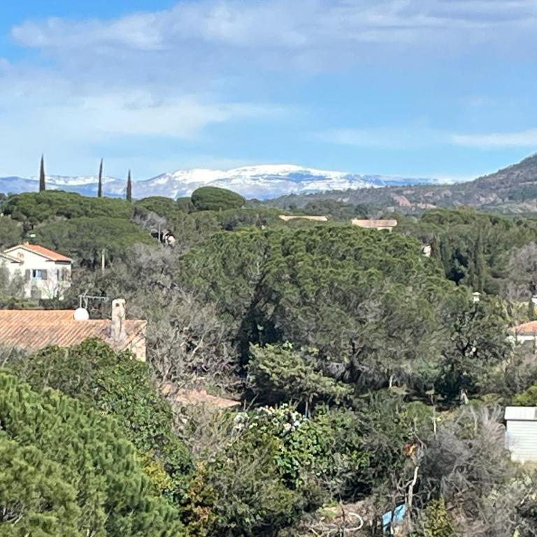 Magnifique appartement petit havre de paix Frejus - Appartamento con 1 Camera da Letto - 26