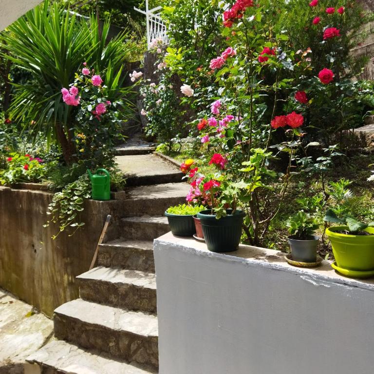 Apartmani "Srma" Srma 2 - Apartment with Sea View - 3