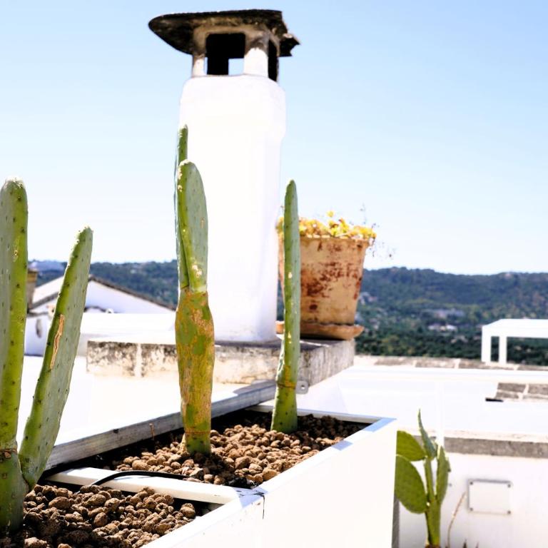 Dimora Lo Scrigno - una PERLA nel CUORE di OSTUNI - One-Bedroom House - 71