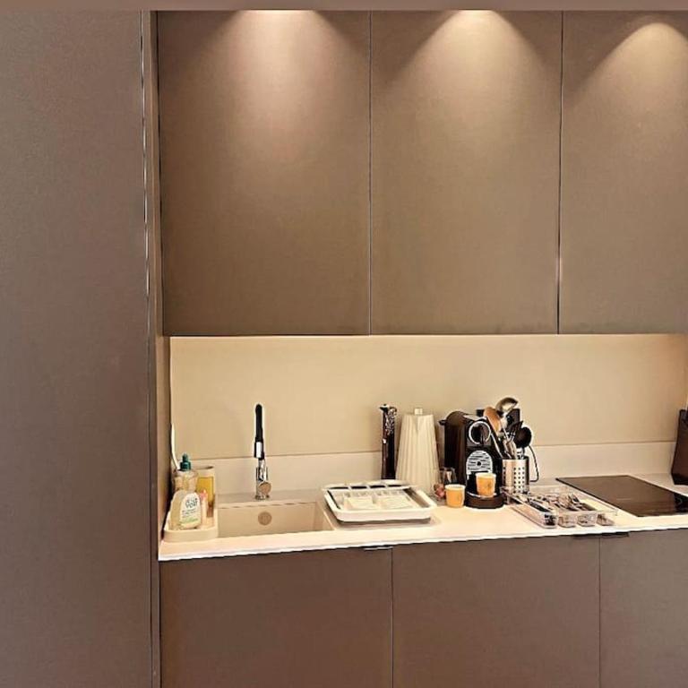 Masséna street, 2 rooms balcony - Appartement 1 Chambre - 6