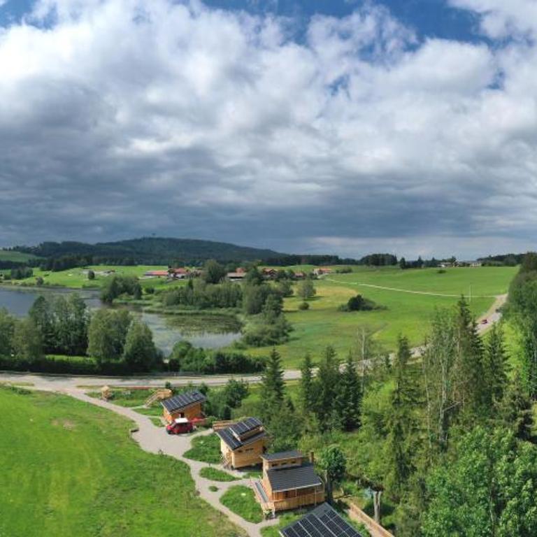 Wald ist Zukunft - Baumhaus Eule - 16