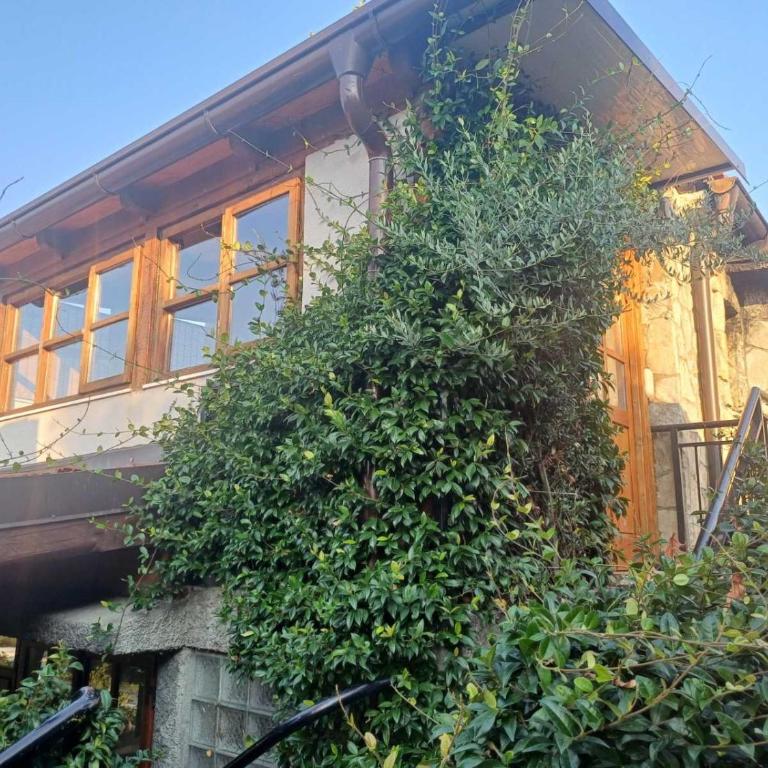 Rural Village Pajo - One-Bedroom Apartment - 14