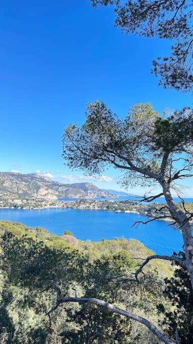 3 pièces avec vue proche du Port de Nice - Appartement 2 Chambres - 32