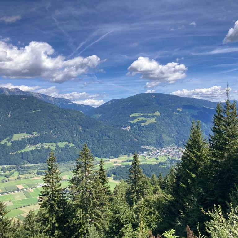 B-Lodge Kärnten - Ferienhaus - 26