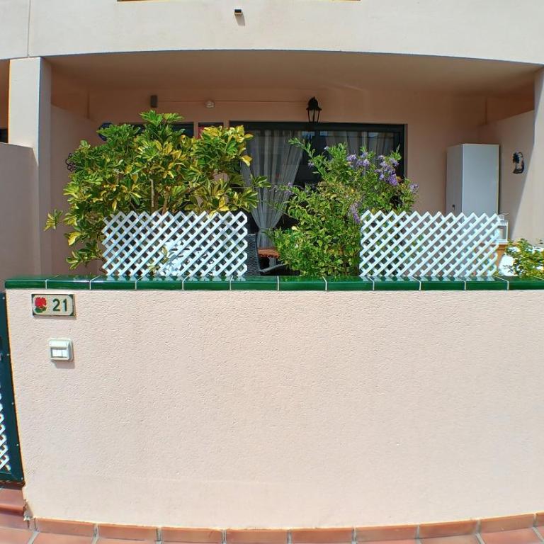 Los Geranios 21 Tenerife - Apartamento con vistas a la piscina - 13