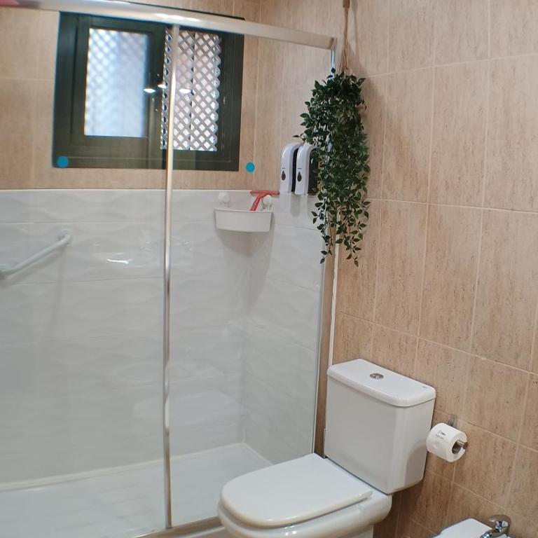 Los Geranios 21 Tenerife - Apartamento con vistas a la piscina - 49