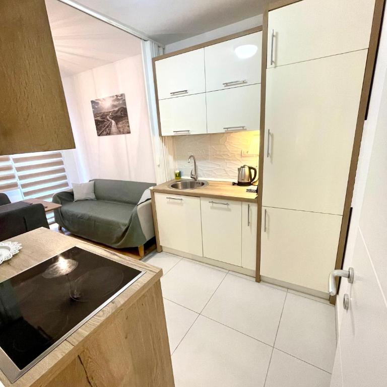 Tiara Vracar Apartment - Apartman sa 1 Spavaćom Sobom - 11