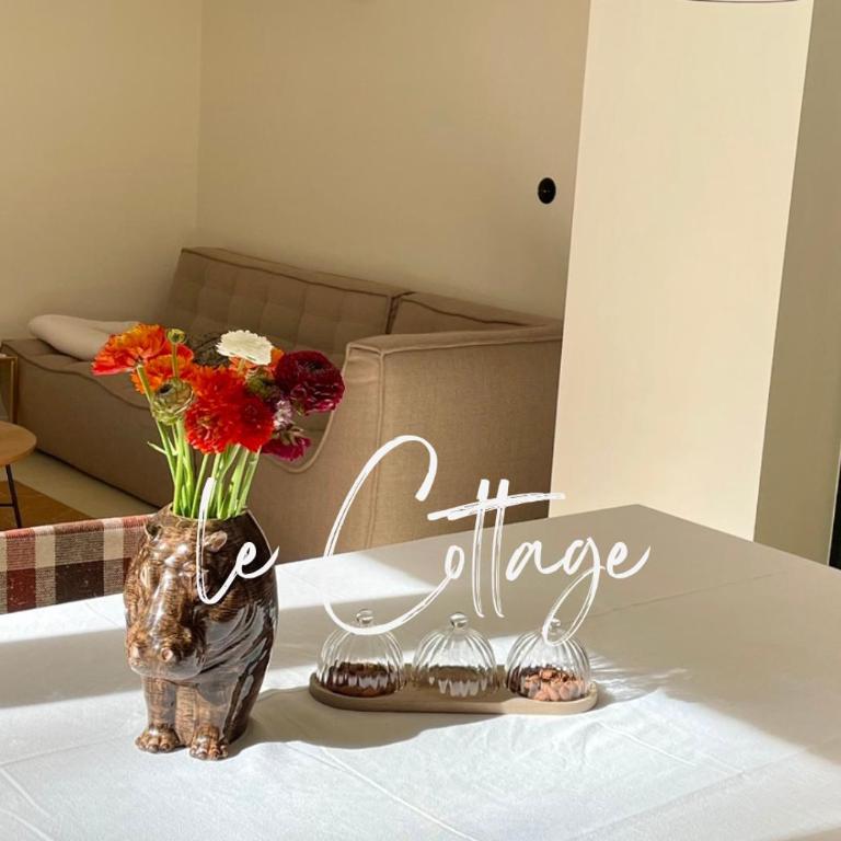 Villa Brigitte - Deluxe Suite with Jacuzzi - 8