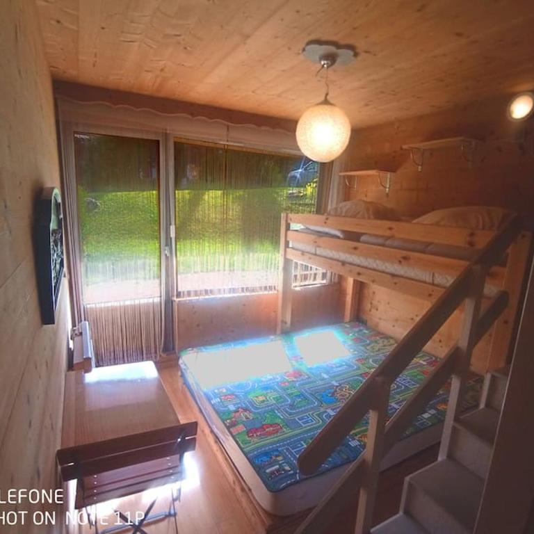 Très beau T3 en rez de jardin à 5 minutes de la station de Carroz - Appartement 2 Chambres - 15