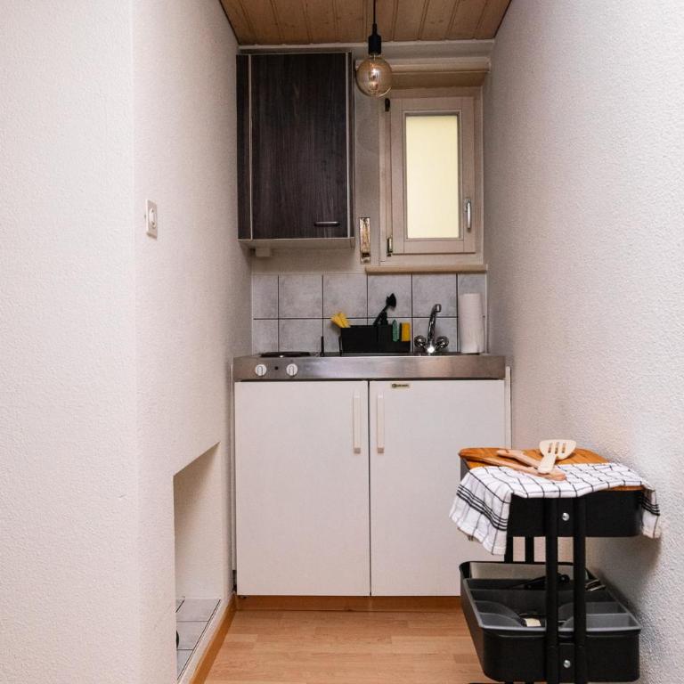 Citycenter Apartment with Parking - Apartment mit 1 Schlafzimmer - 4
