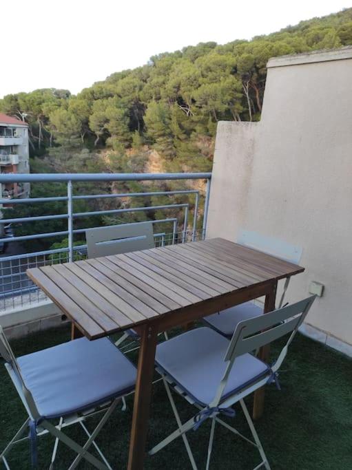 Charmant T2 avec vue sur l'étang - Apartment mit 1 Schlafzimmer - 11