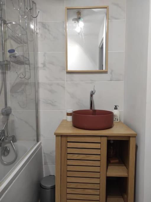 Charmant T2 avec vue sur l'étang - Apartment mit 1 Schlafzimmer - 10