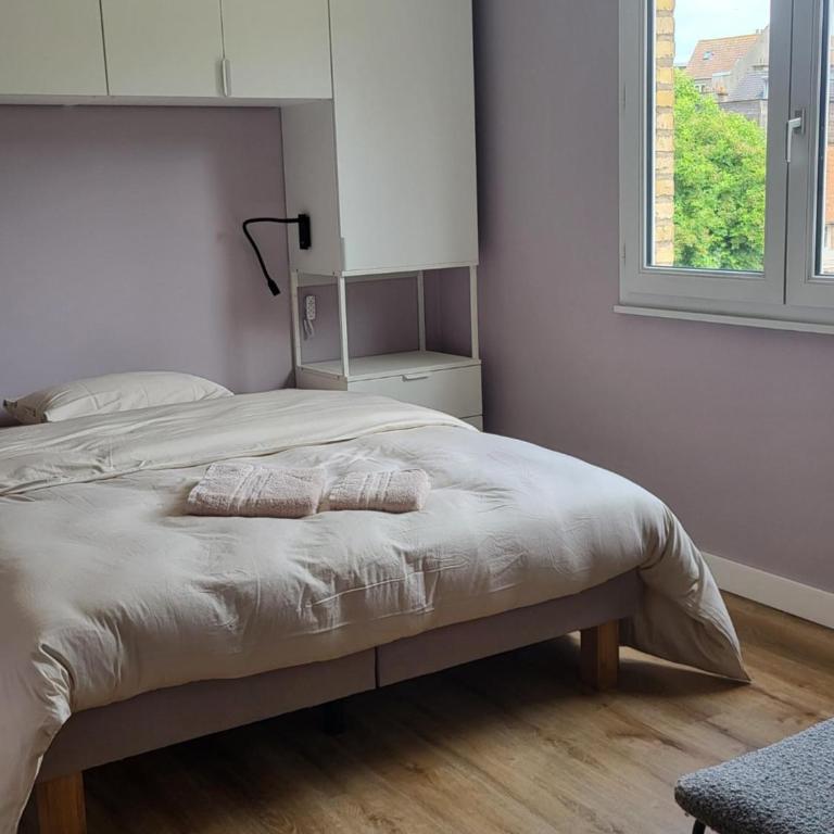 Rode Huis - Maison 4 Chambres - 11