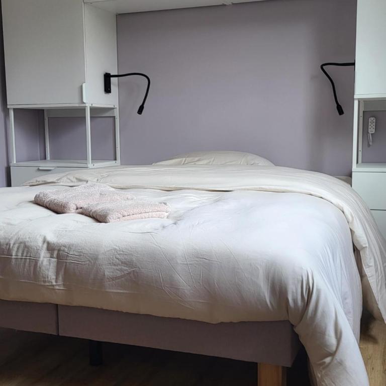 Rode Huis - Maison 4 Chambres - 12