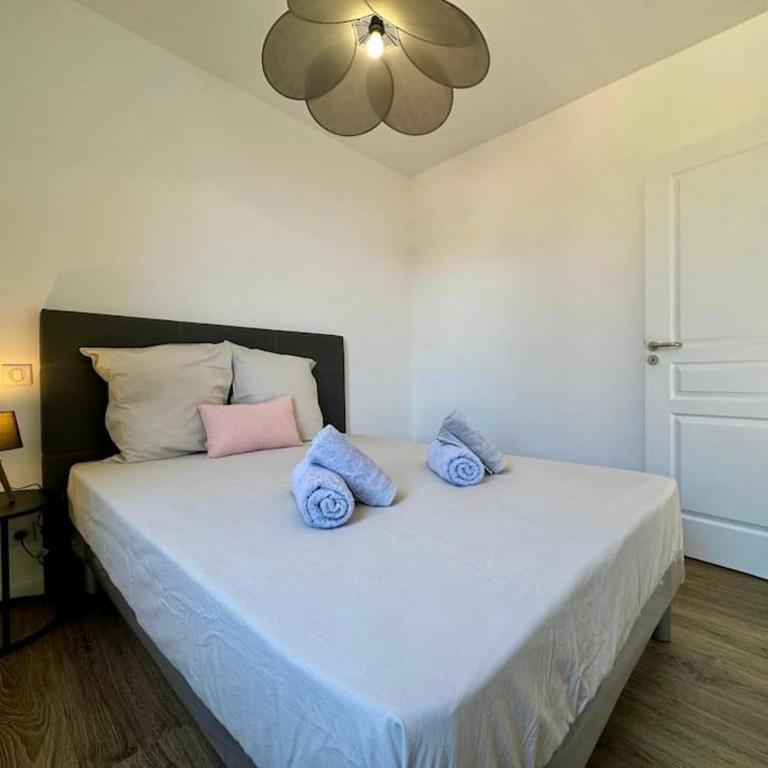 Le Logis de la Cathédrale - Appartement 1 Chambre - 18