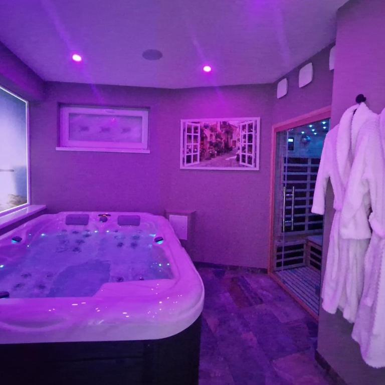 SPA & SAUNA lin pour l'autre - Appartement 1 Chambre - 1