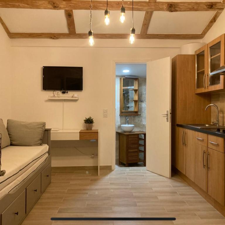 Cosy studio tiny house, parking Mougins, proche Cannes - Maison 1 Chambre - 1