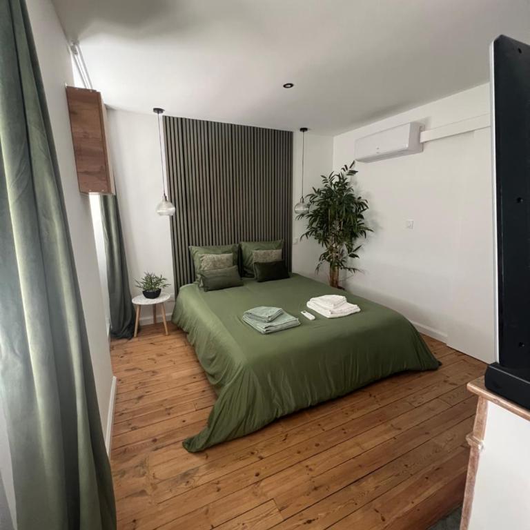 Studio cosy cœur de ville - Appartement 1 Chambre - 12