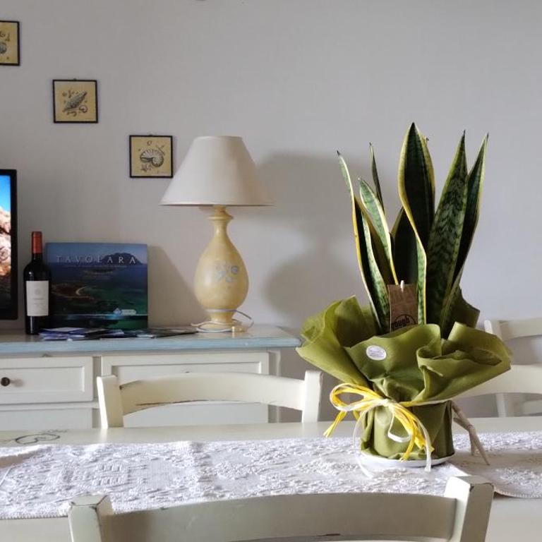 Casa Orziadas Pittulongu - Sea View - Appartamento con 3 Camere da Letto e Vista Mare - 18