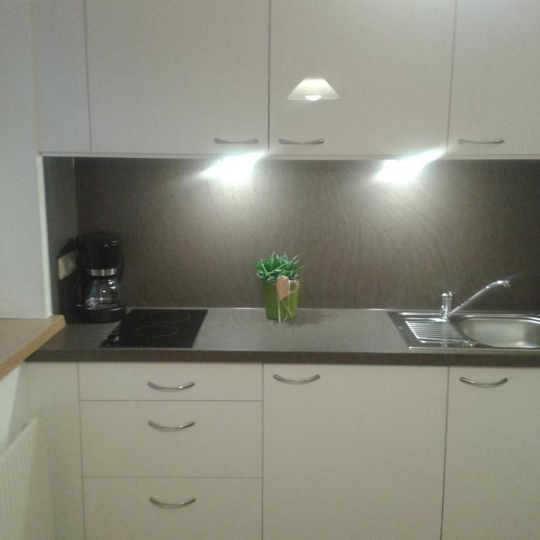 Apartment Valtiner - Apartment mit 1 Schlafzimmer und Garten - 1