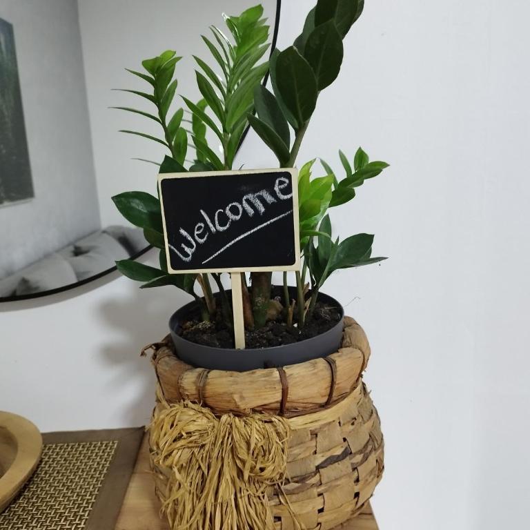 Jaz Apartman - Apartman sa 1 Spavaćom Sobom - 7
