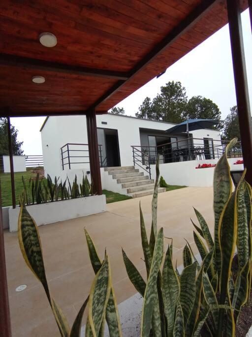 Villa moderna con una hermosa piscina, fogata y BBQ - Villa de 2 dormitorios - 11
