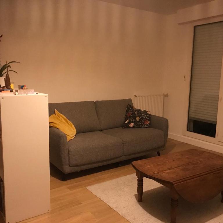 A l orée du lac Moriscot, chouette T3, idéale famille ,4 à 6 personnes, très bien desservie - Appartement 1 Chambre - 2
