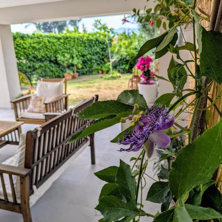 Villa Sara - Appartamento con 2 Camere da Letto - 23