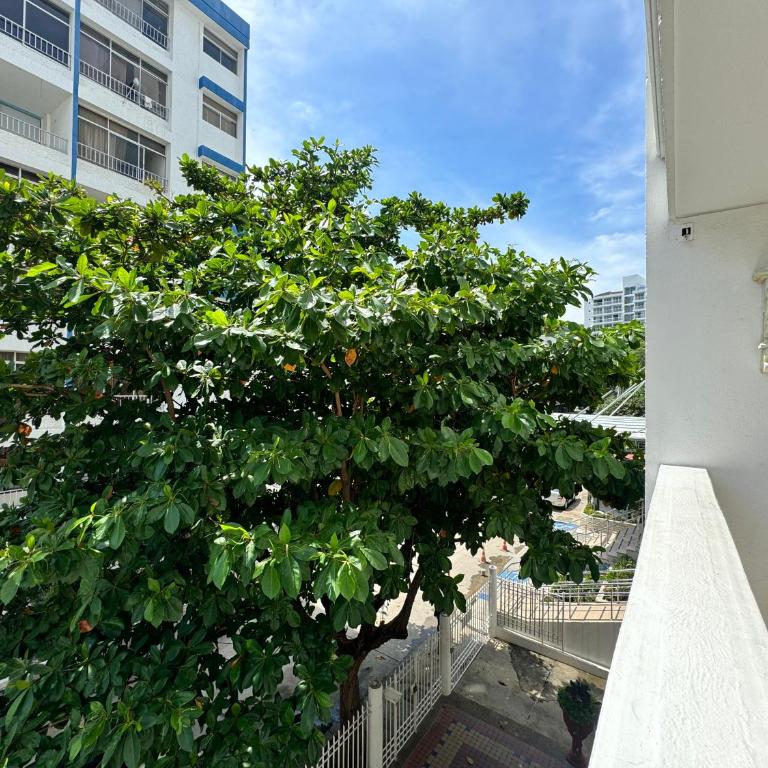 Apartamento a 3 cuadras del mar en Santa Marta - Two-Bedroom Apartment - 11