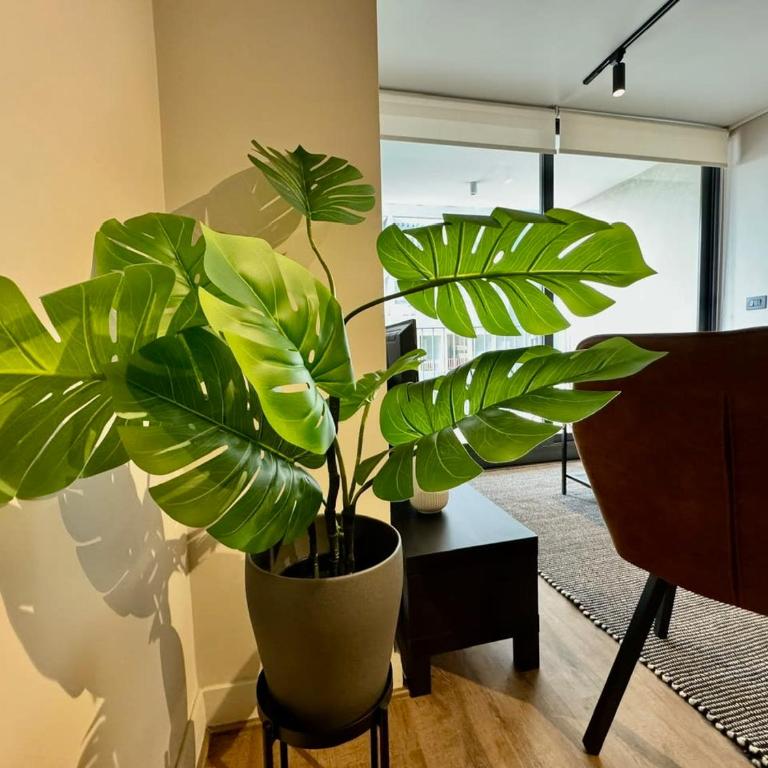 HOM I Lujoso Depto 2D2B, Ñuñoa con Estacionamiento - Apartamento - 52