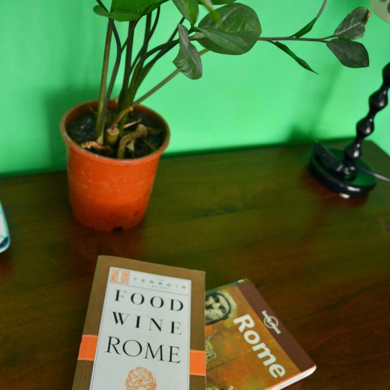 4321 B&B Stazione Trastevere - Standard Double Room with Shared Bathroom - 17
