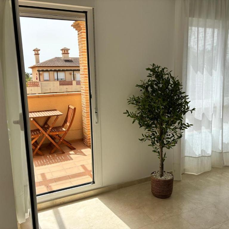 Apartamento Rabdells Oliva nova 200m de la playa - Apartamento de 1 dormitorio - 20