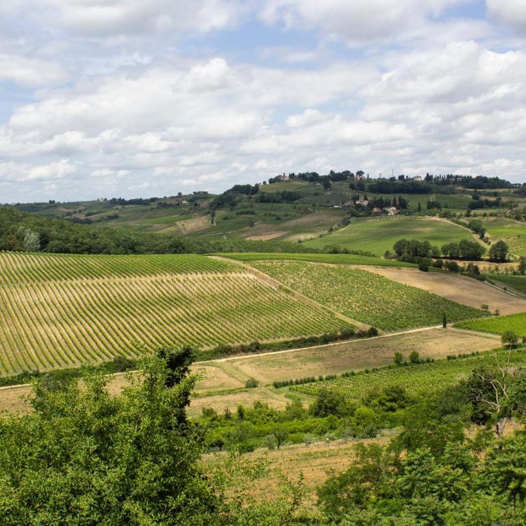 Torciano Hotel Wine & Winery, Tuscany - Chambre Double ou Lits Jumeaux Deluxe avec Balcon - 5