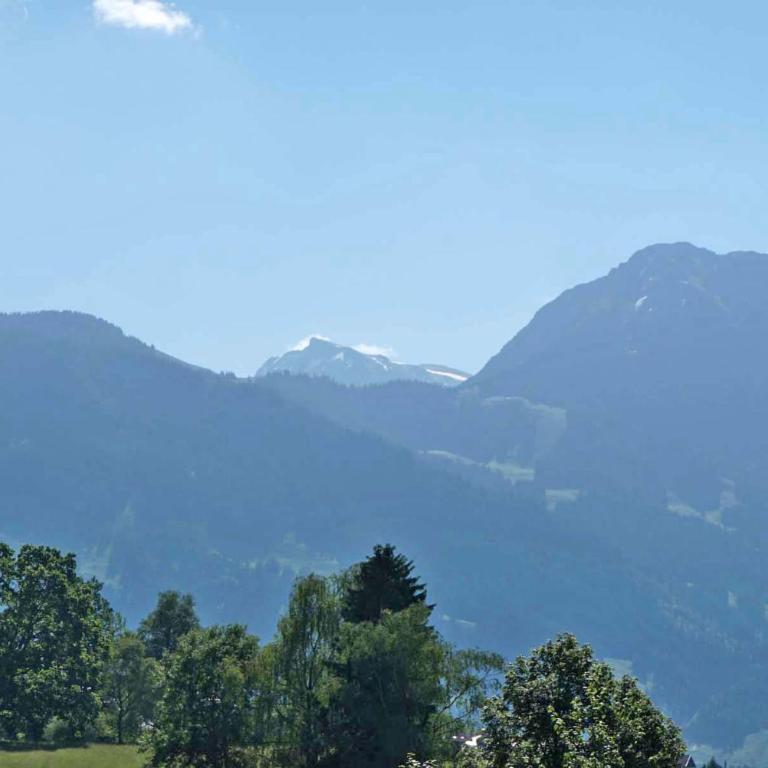 Haus Obermaiselstein - Appartamento con 1 Camera da letto con doccia - 8
