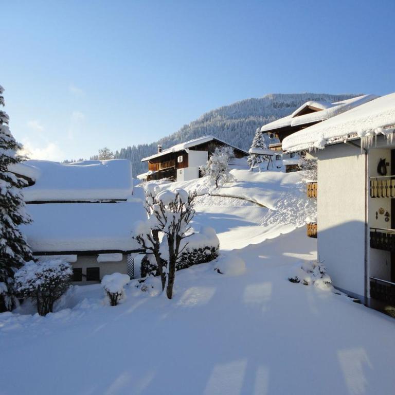 Haus Obermaiselstein - Appartamento Economy - 2
