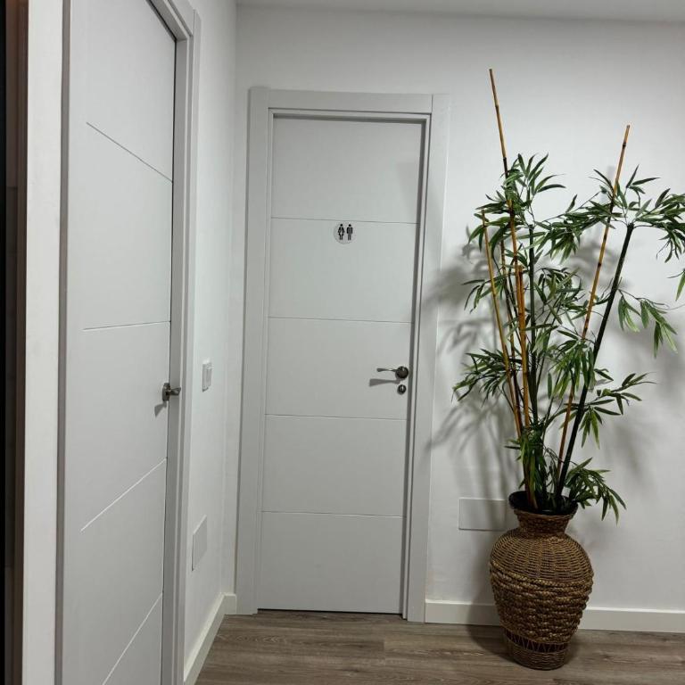 Linerlife - Apartamento de 1 dormitorio - 6