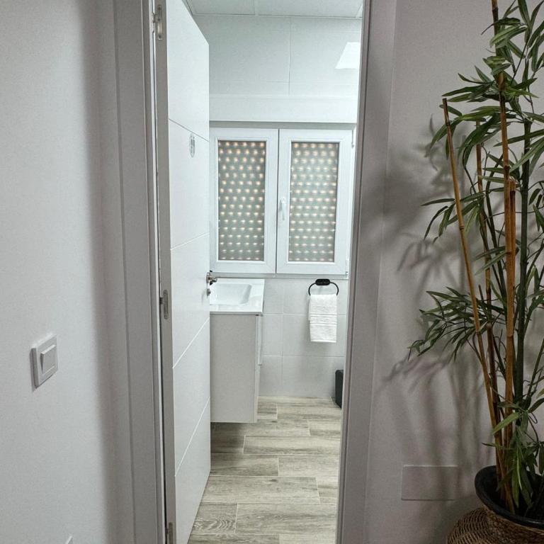 Linerlife - Apartamento de 1 dormitorio - 8
